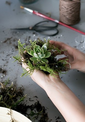 Kokedama – samaninis stebuklas jūsų namuose