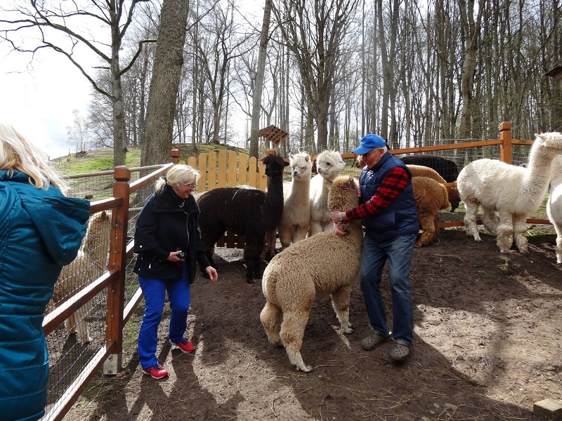 Andų kalnų gražuoles pamilo ir lietuviai