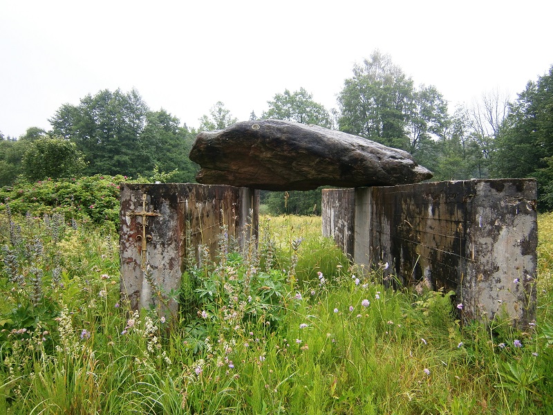 Rūdninkų giria: filmo verta istorija