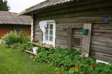 Seną sodybą labiausiai puošia tradicinis darželis