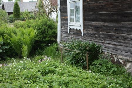 Seną sodybą labiausiai puošia tradicinis darželis