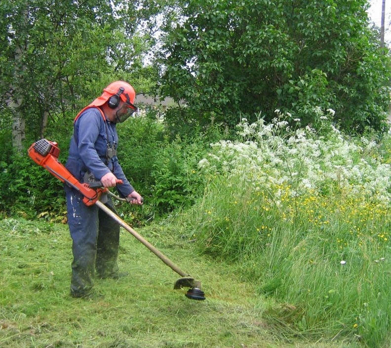 Patarimas: tik nepirkite naudotos žoliapjovės