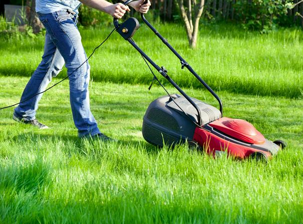 Patarimas: tik nepirkite naudotos žoliapjovės