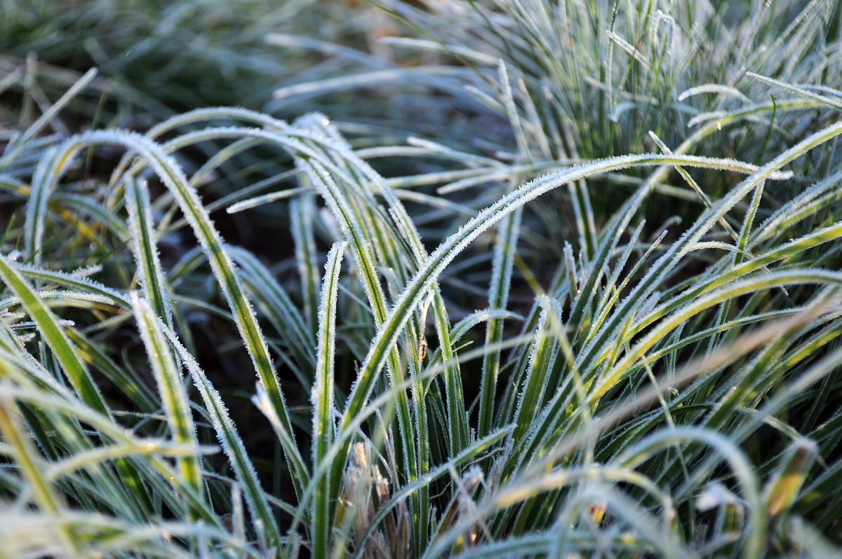 Šio ryto šalna: spalį būta net ir –19,5 °C