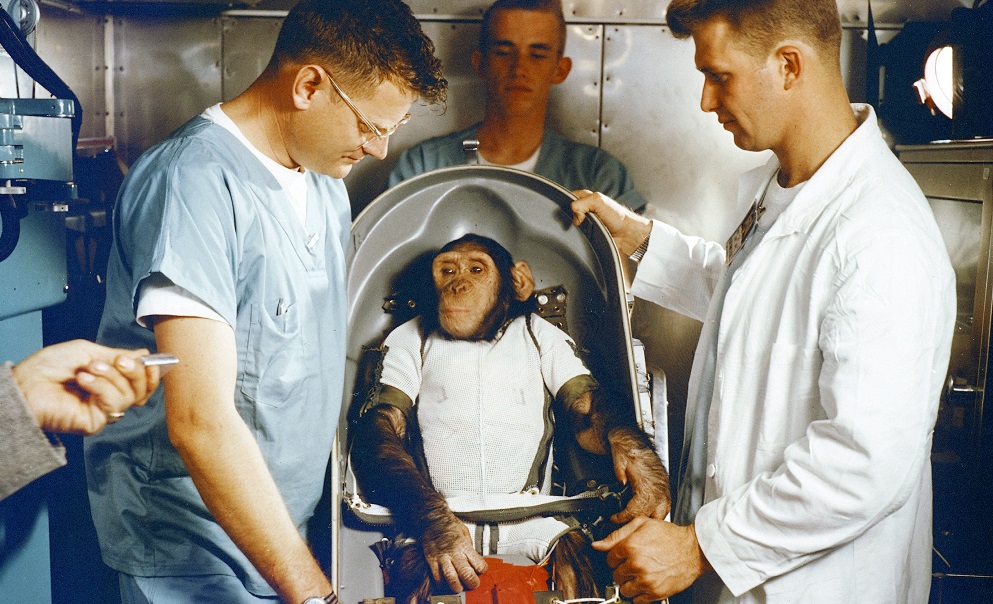 Beždžionės į kosmosą pakilo anksčiau už žmogų