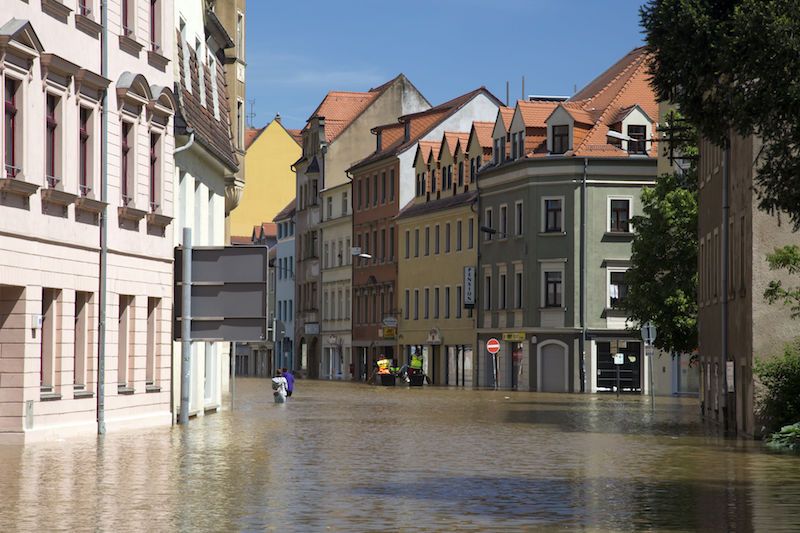 Gamta vis nuožmiau baudžia mus už godumą