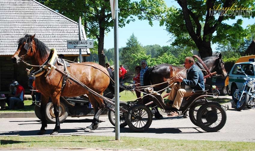 Nemokamų savaitės renginių gidas