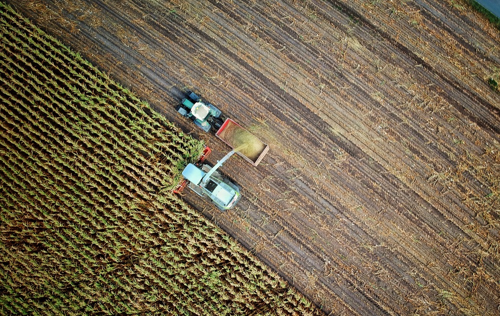 Lietuvos žemdirbių tikslas – Europos Sąjungos vidurkį siekiančios tiesioginės išmokos