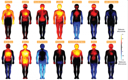 Emocijas mes jaučiame ne tik savo galvoje ir širdyje – reaguodama į cheminius pokyčius organizme, pakinta visa mūsų organizmo būklė.