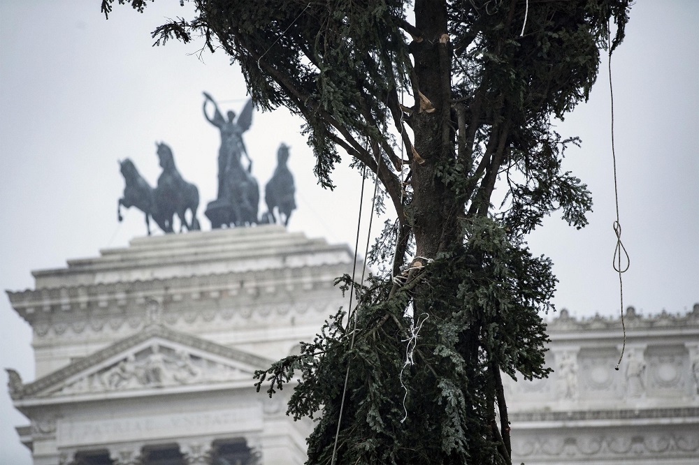 Italai vėl nepatenkinti Kalėdų egle Romos centre