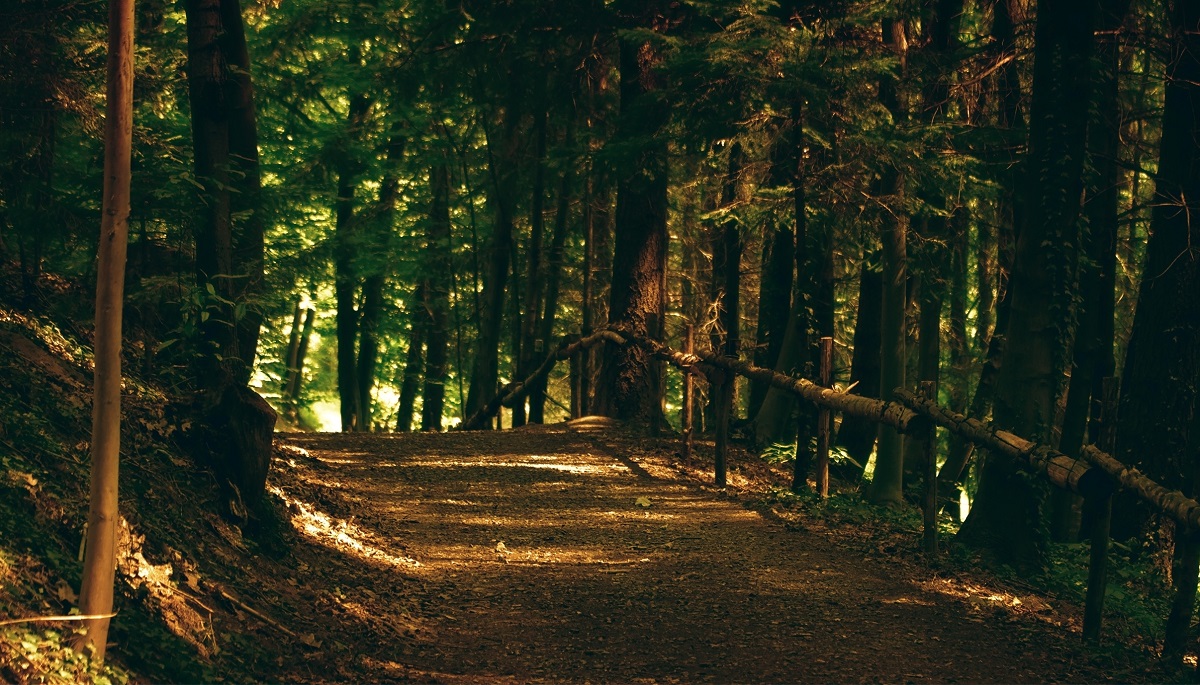 Didžiausias erkių pavojus - Panevėžio apylinkėse