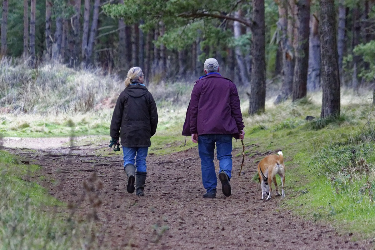 Kad vienatvė netaptų epidemija: padeda augintiniai