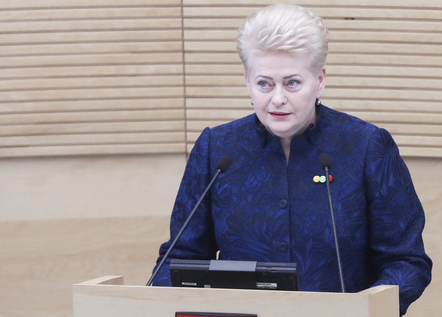 D. Grybauskaitė: klaidų darymas suprantamas, tačiau jų neigimas – nusikalstamas