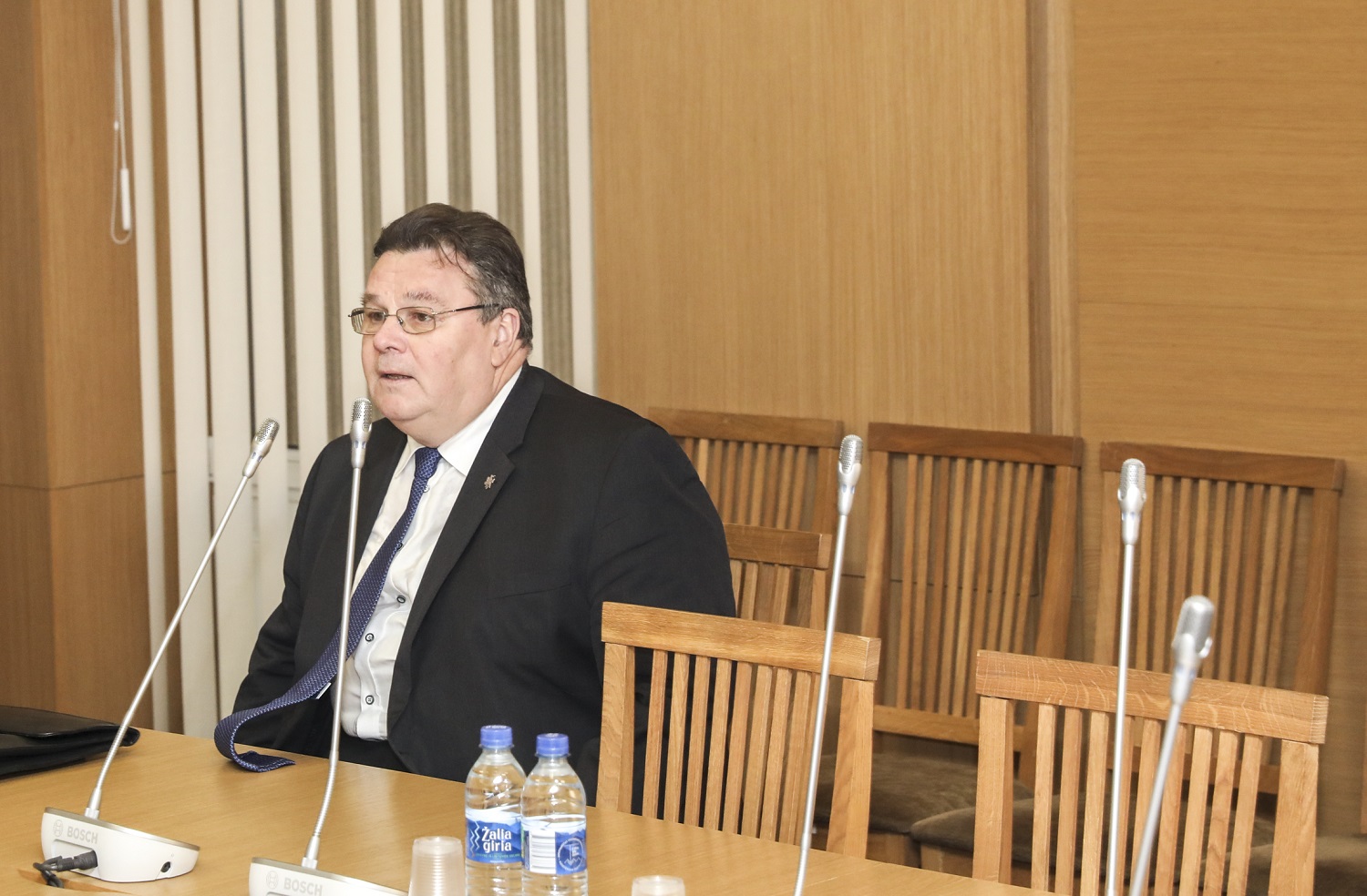 L. Linkevičius: rinkimai Baltarusijoje gali būti konkurencingesni