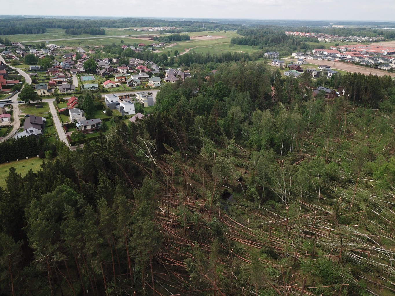 Miškininkai Nemenčinėje pradėjo tvarkyti audros nusiaubtą 4 hektarų miško plotą
