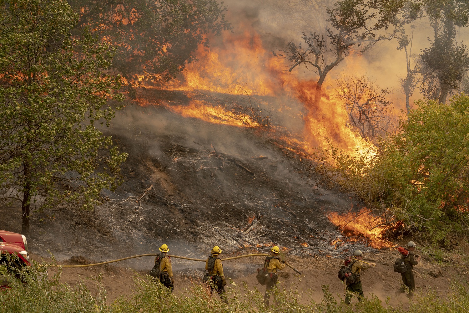 Nuo gaisrų dūstanti Kalifornija pasiekė antirekordą: išdegė didelė teritorija