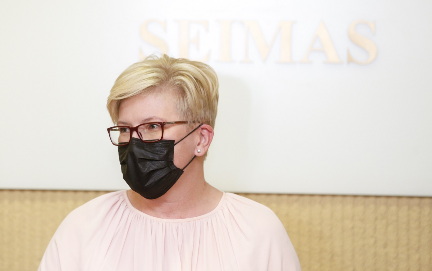 I. Šimonytė: ministrų kabineto sąrašas bus kitą savaitę I. Šimonytė: ministrų kabineto sąrašas bus kitą savaitę