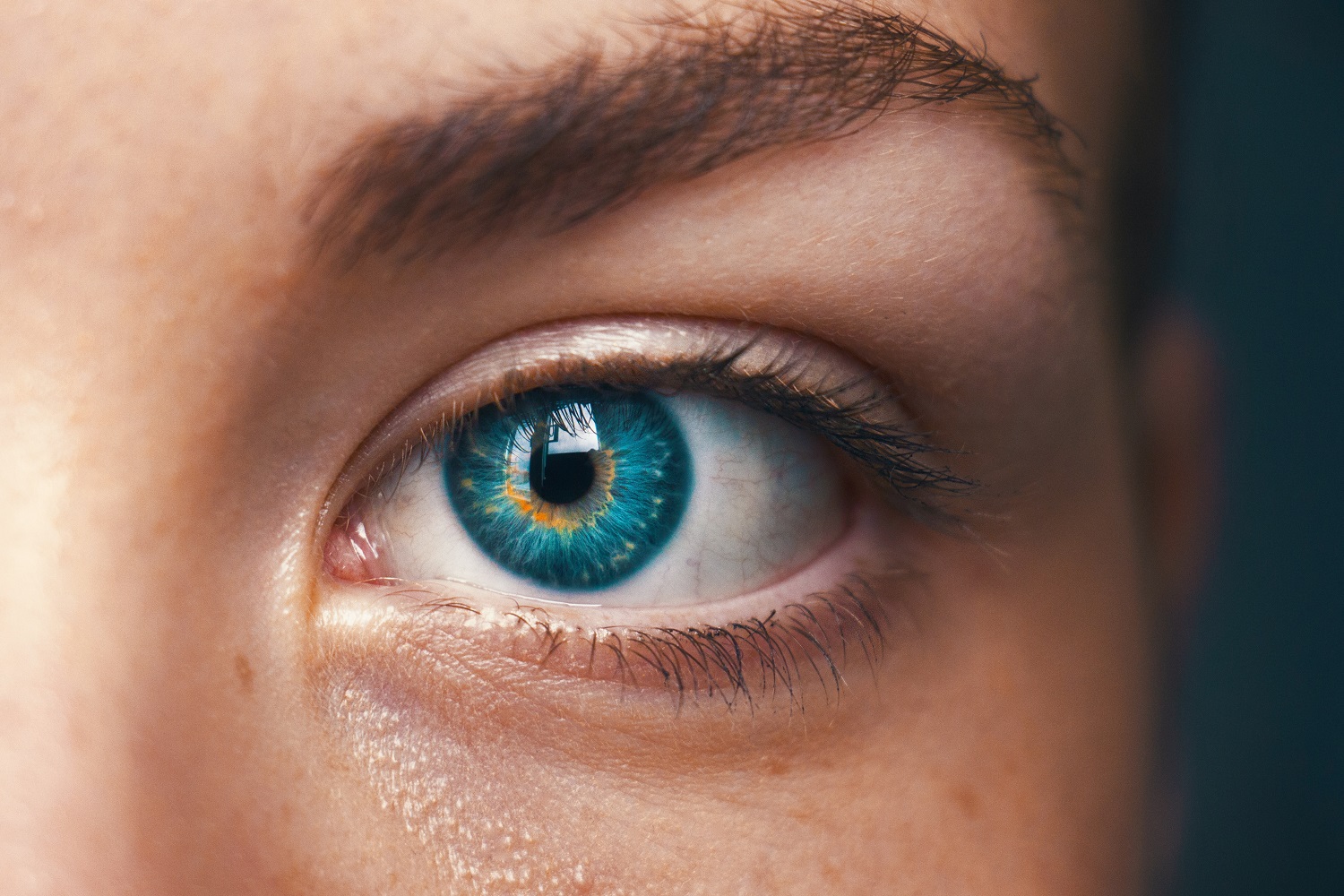 Deginti riebalų dūmų akis, Vokų krašto ligos (blefaritas) - priežastys, simptomai, gydymas | Lirema