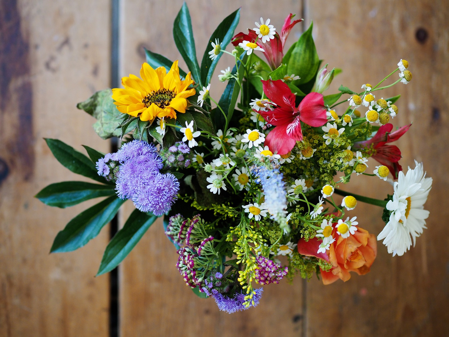 Floristės patarimai, kad skintos gėlės ilgiau žydėtų (video) Floristės patarimai, kad skintos gėlės ilgiau žydėtų (video)