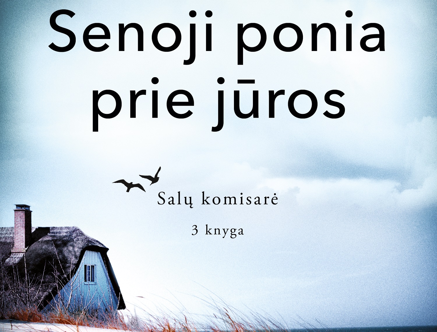 Detektyvinis romanas „Senoji ponia prie jūros“ (+ knygos ištrauka)