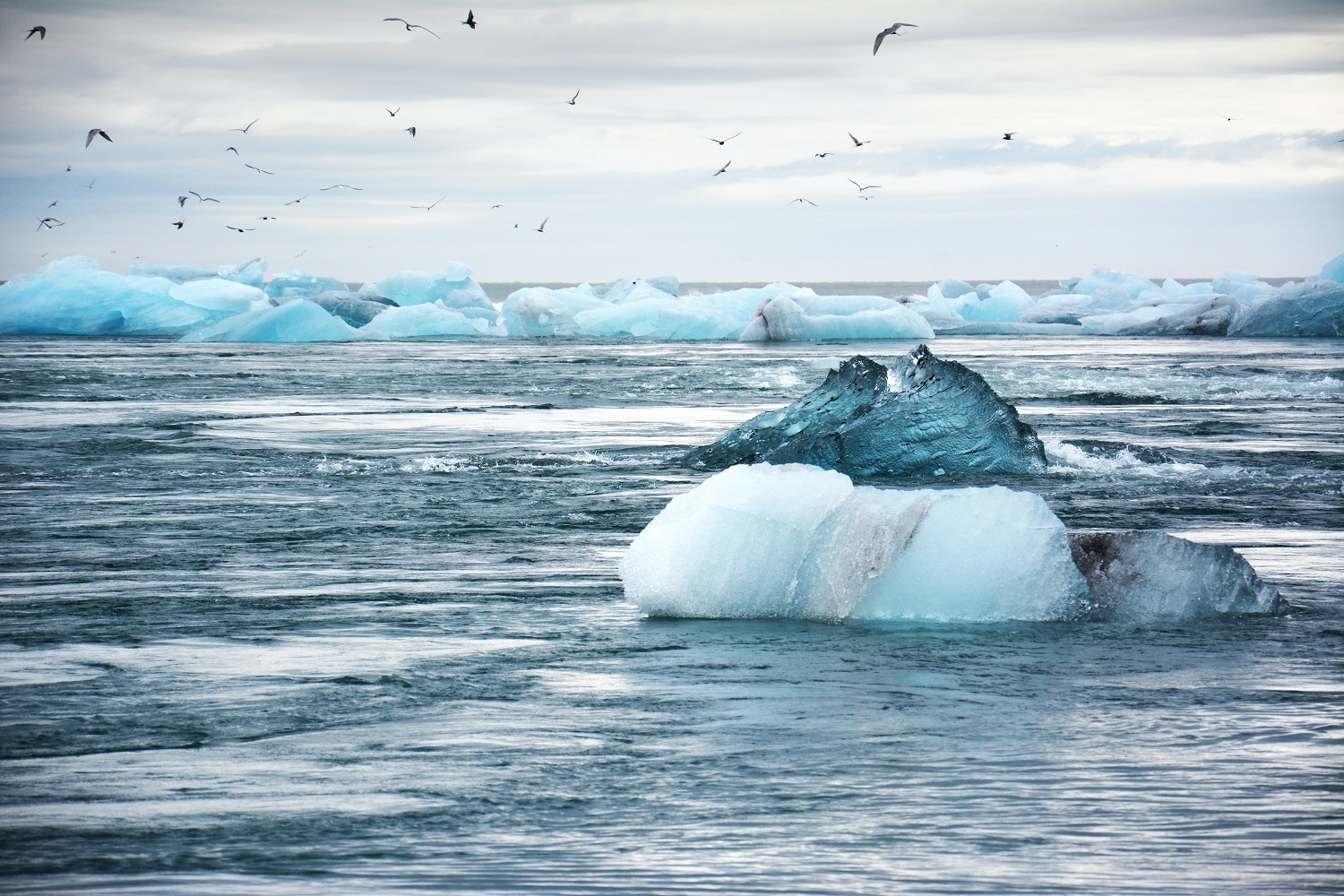 Į susitikimą dėl klimato kaitos neatvykusioms Kinijai ir Rusijai – griežta JAV kritika Į susitikimą dėl klimato kaitos neatvykusioms Kinijai ir Rusijai – griežta JAV kritika
