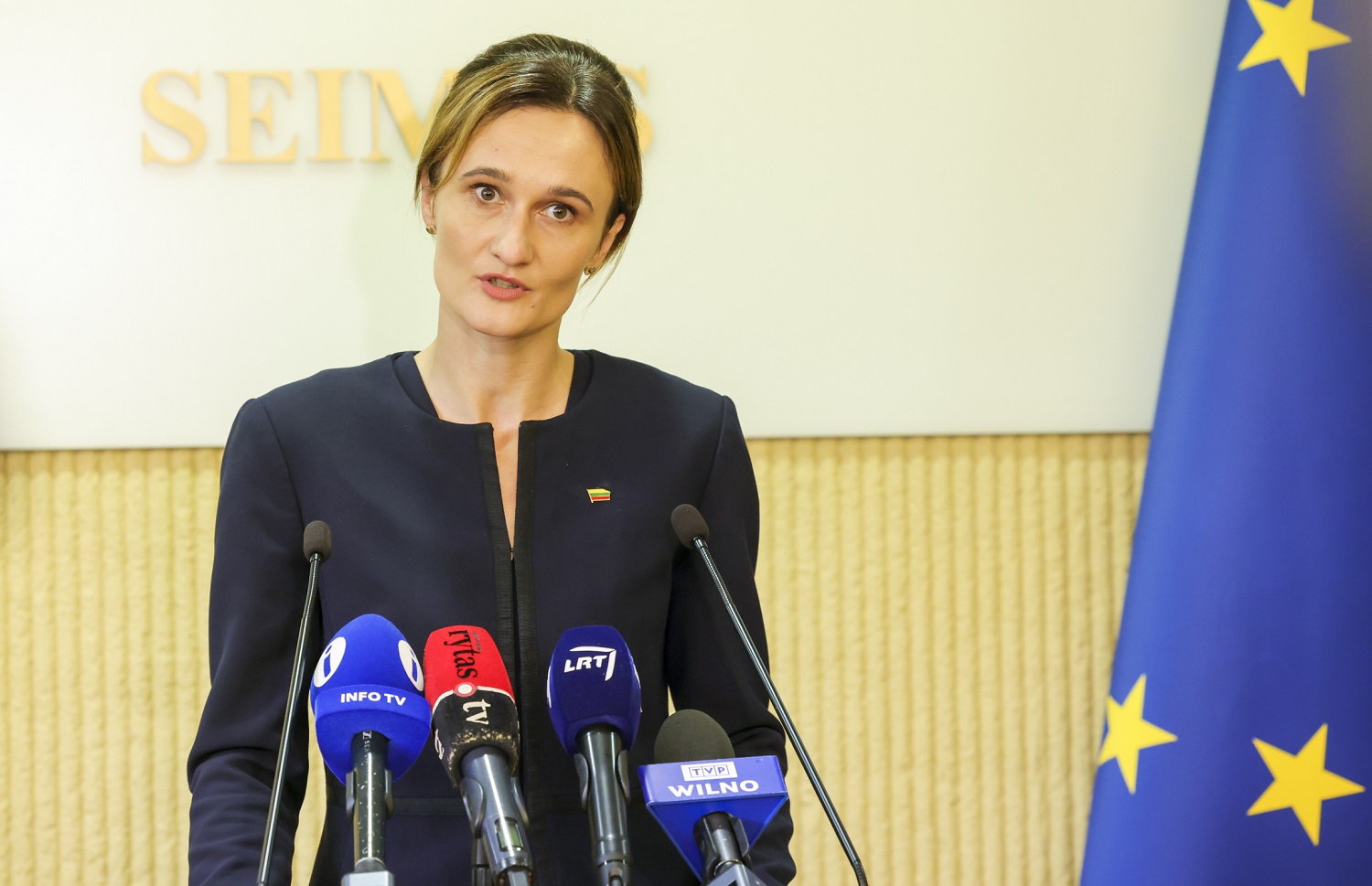V. Čmilytė-Nielsen kritikuoja prezidento veto: neišgirdau jokių svarių argumentų, tai gali situaciją tik pabloginti