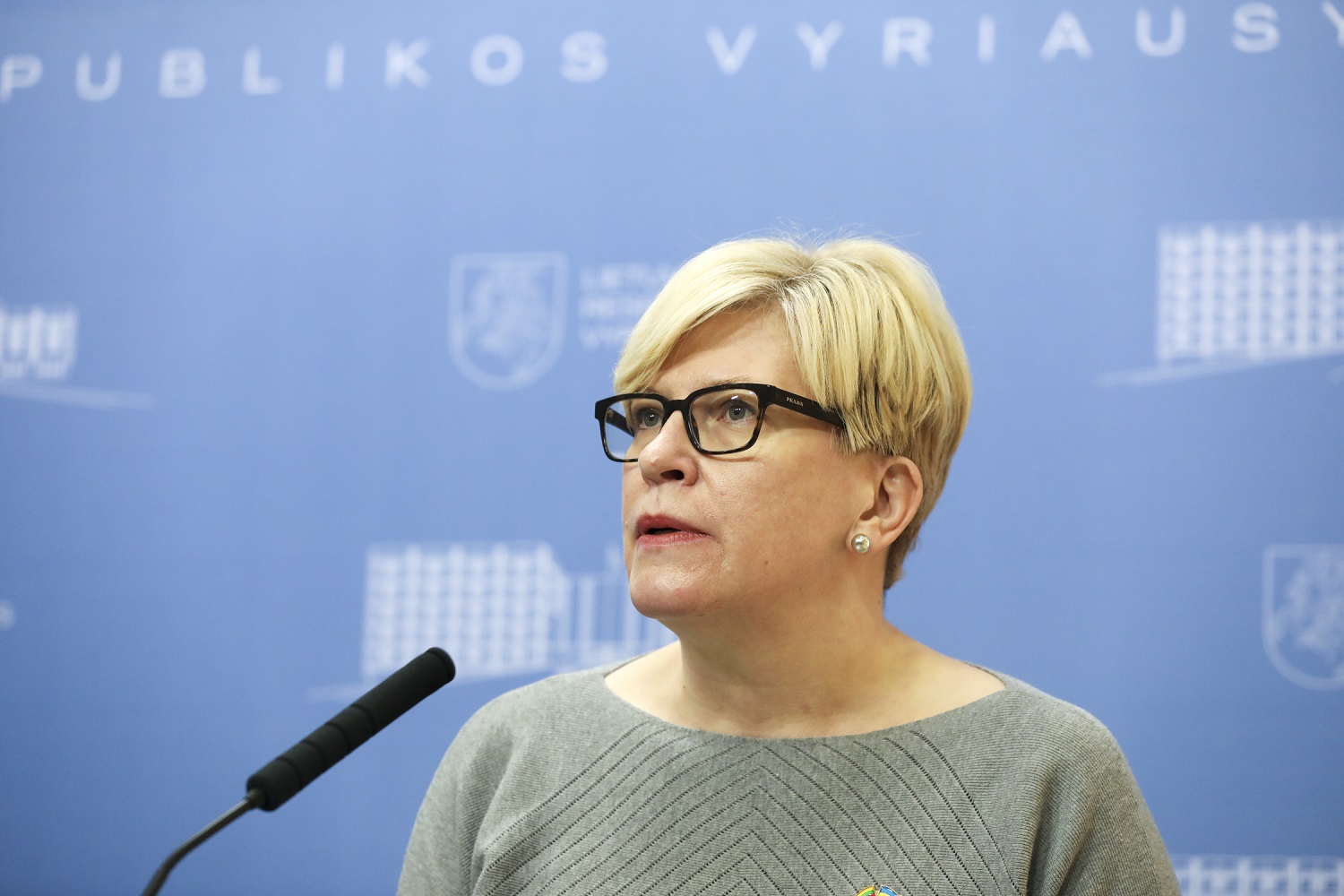 I. Šimonytė: dabar didesnės pagalbos už pagalbą ginklais nėra I. Šimonytė: dabar didesnės pagalbos už pagalbą ginklais nėra