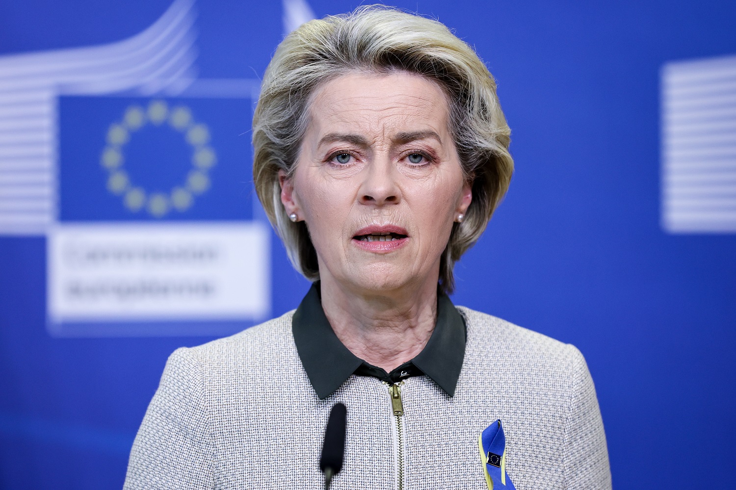 U. von der Leyen ragina gyventojus taupyti energiją – taip greičiau tapsime nepriklausomi nuo rusiškų išteklių