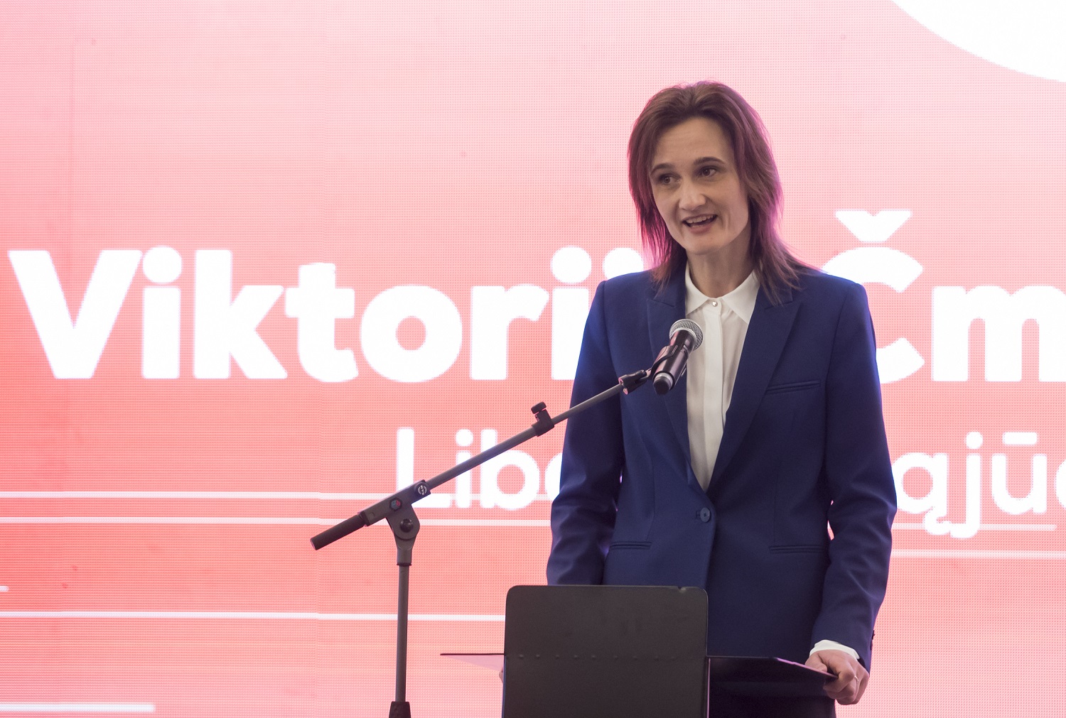 V. Čmilytė-Nielsen apie valstybės pareigūnų apsaugą: turėtume eiti vakarietišku keliu