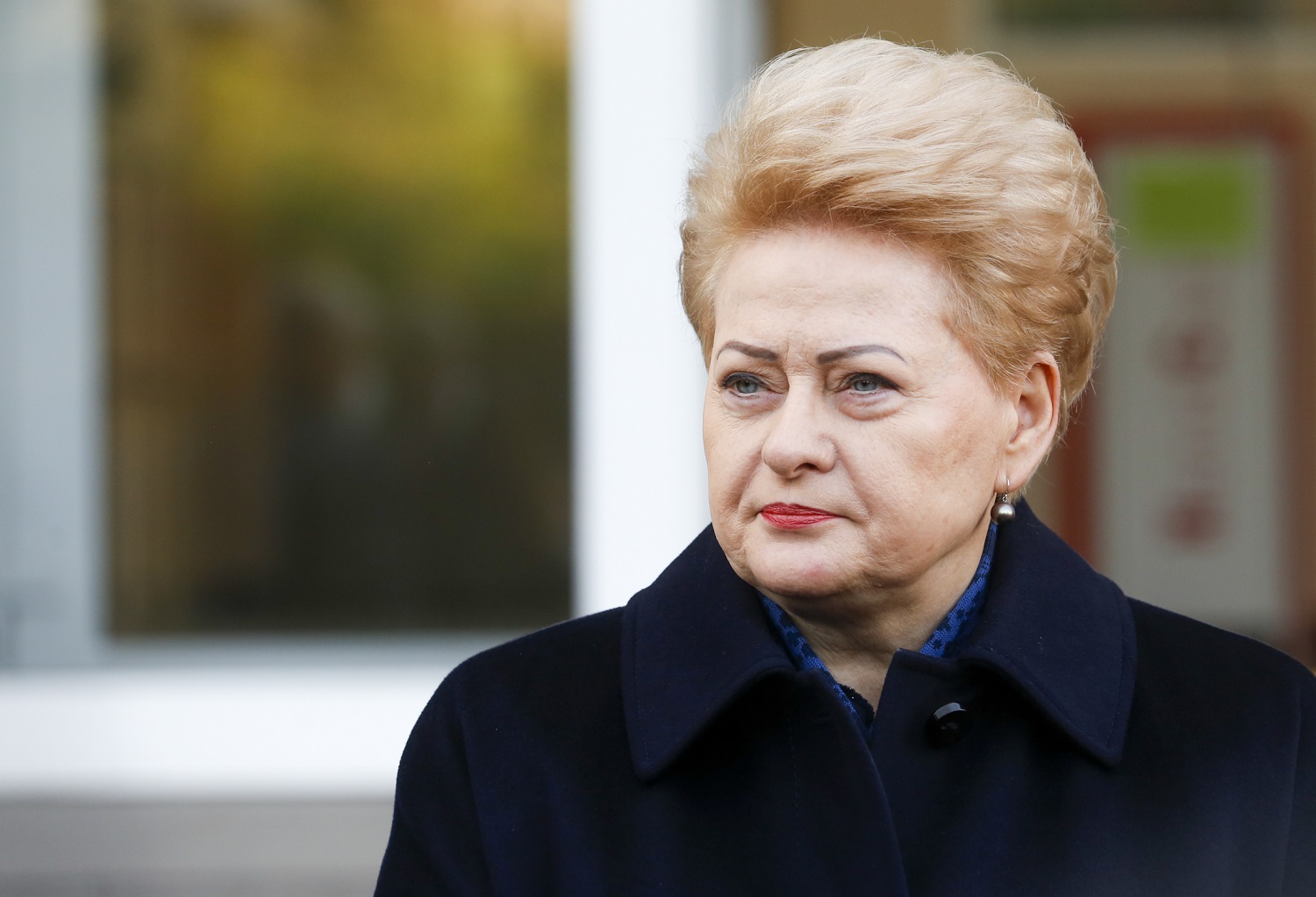 D. Grybauskaitė: Rusijos vien ekonominėmis sankcijomis nepaveiksi