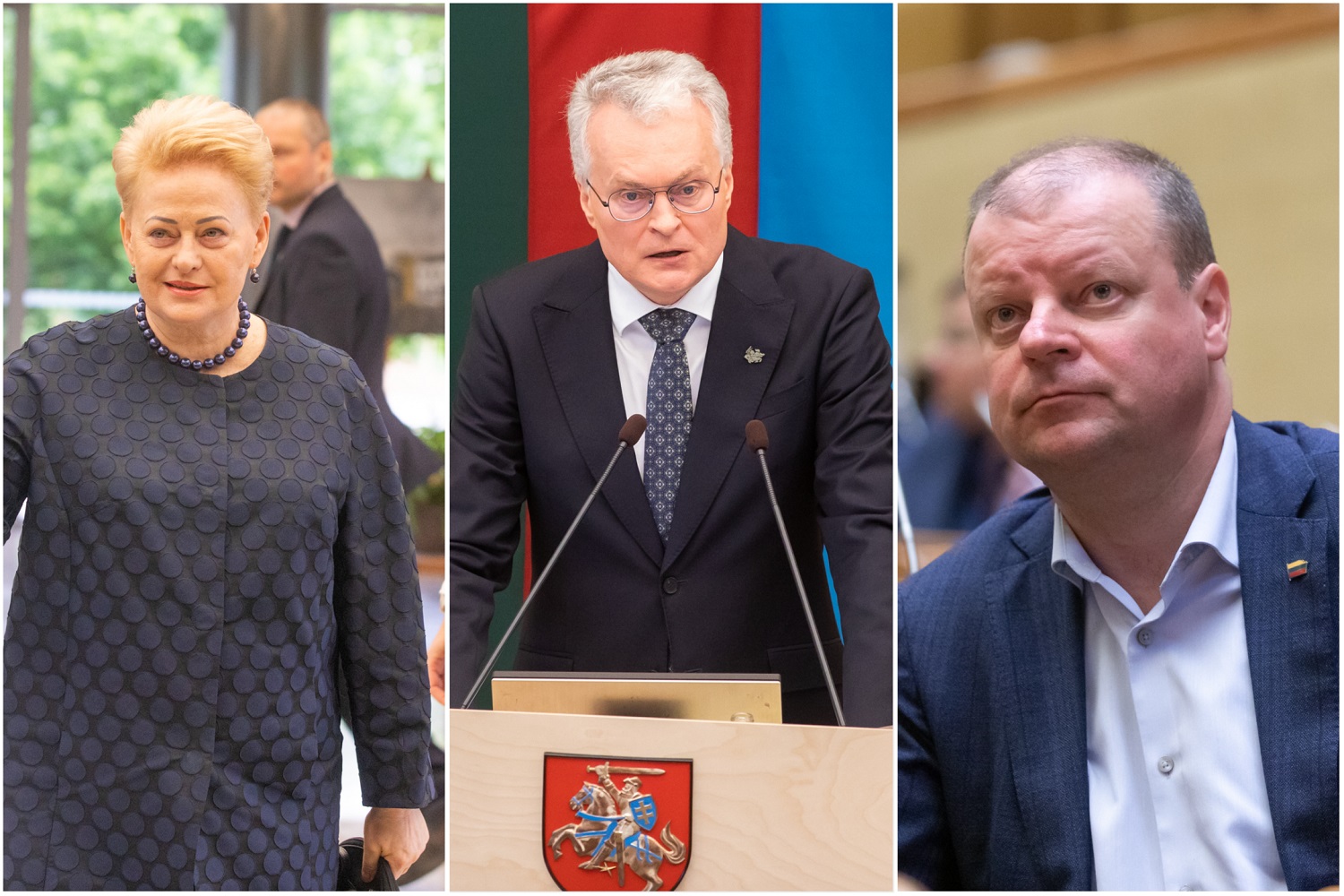Reitingai: visuomenė labiausiai pasitiki G. Nausėda, S. Skverneliu ir D. Grybauskaite