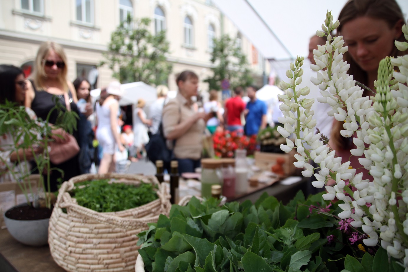 Vilniuje – Žolynų turgus Vilniuje – Žolynų turgus