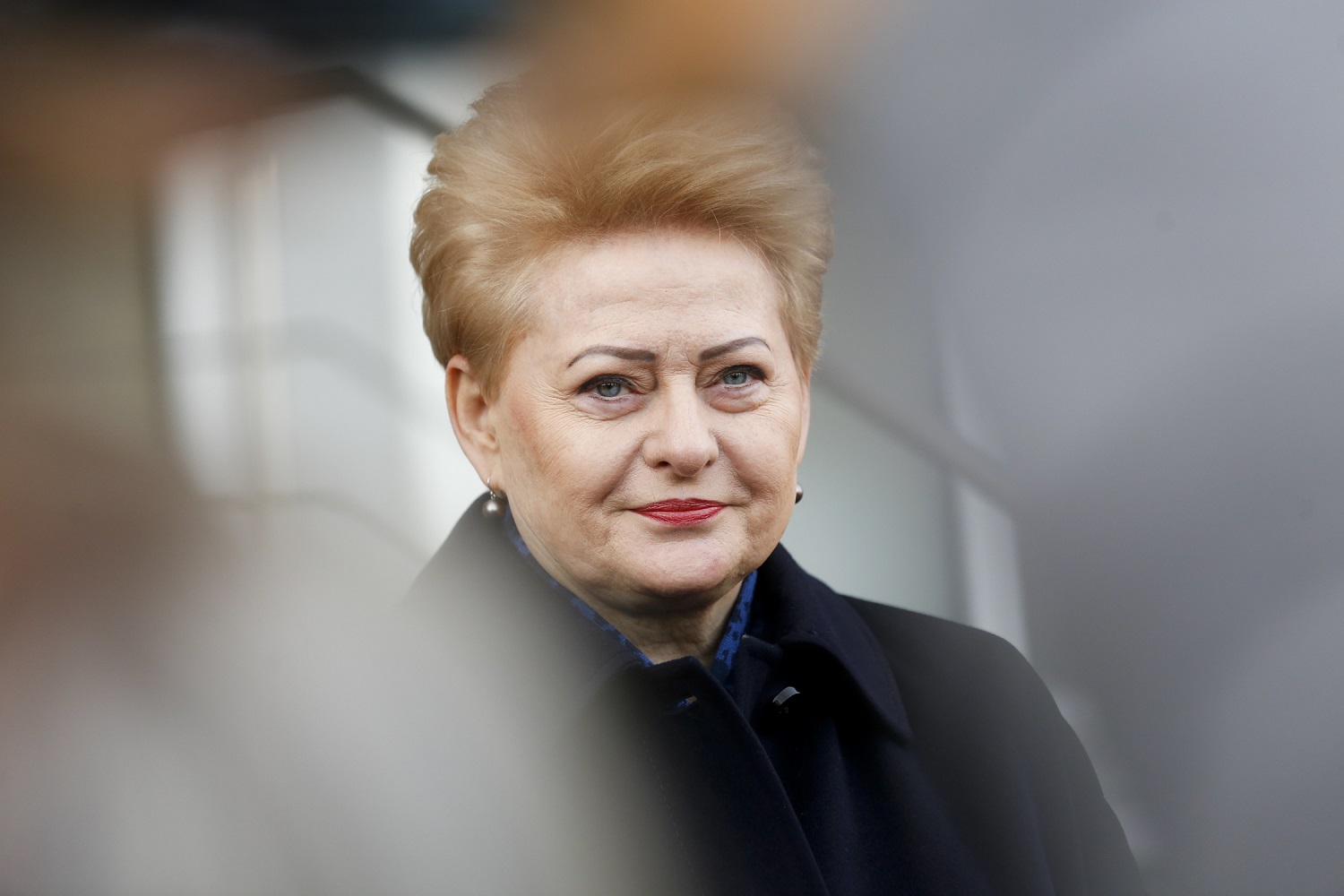 D. Grybauskaitė: Lietuvos politikai šoka kinkadrebio partiją politiniame balete