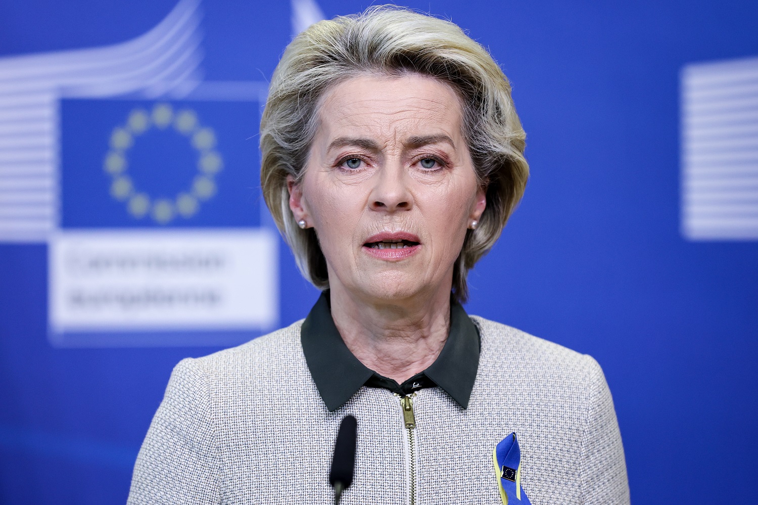EK pirmininkė: kainoms sparčiai augant planuojama reformuoti ES elektros rinką