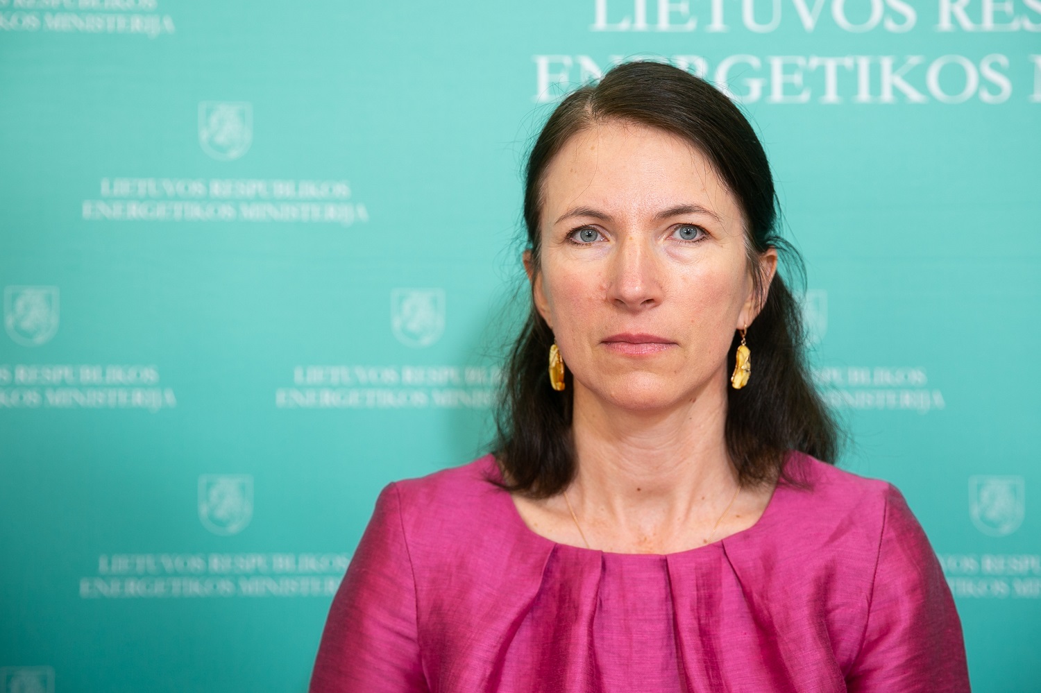 Kompensacijas už sąnaudas dirbant namuose „nurašanti“ energetikos viceministrė: dirbti iš namų pigiau nei vykti į darbą Kompensacijas už sąnaudas dirbant namuose „nurašanti“ energetikos viceministrė: dirbti iš namų pigiau nei vykti į darbą