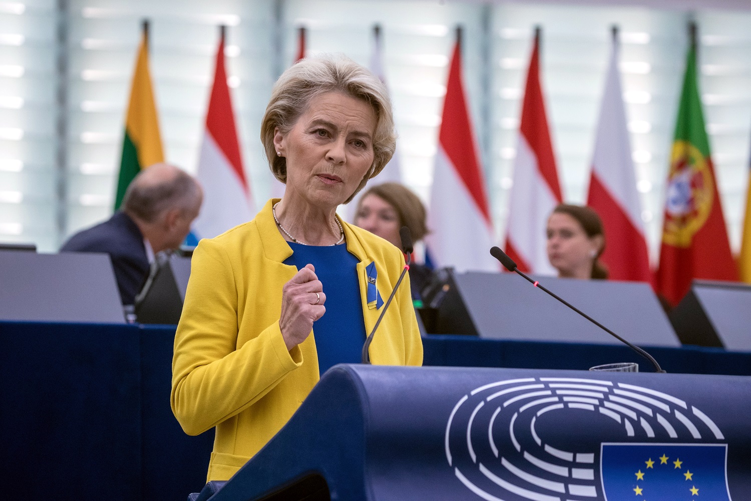 U. von der Leyen: Ukrainos stojimo į ES procesas vyksta sėkmingai
