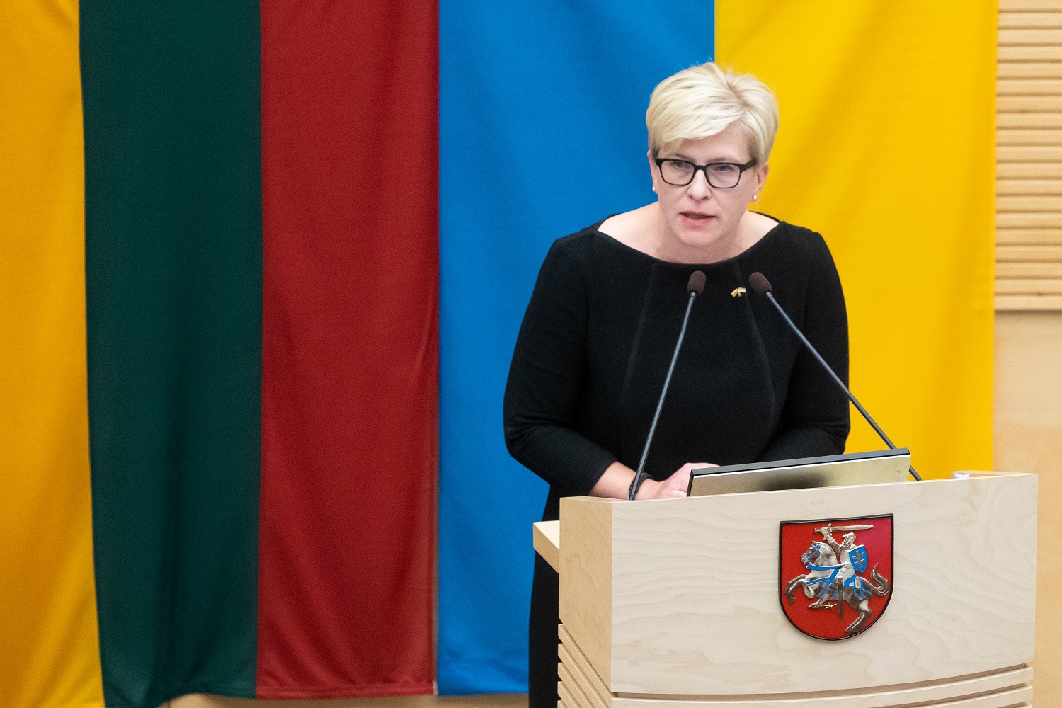 I. Šimonytė paskatino Seimo narius „atsižvelgti į realybę“: siūlomos PVM lengvatos elektrai ir dujoms nieko nesprendžia