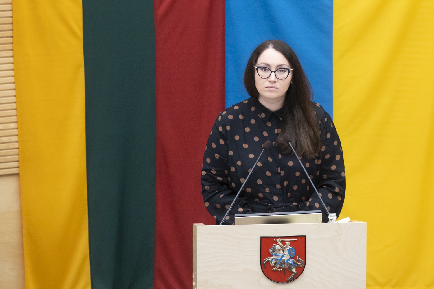 E. Dobrowolska: ieškoma sprendimų, kaip užkardyti nuteistojo A. Paleckio veiklą