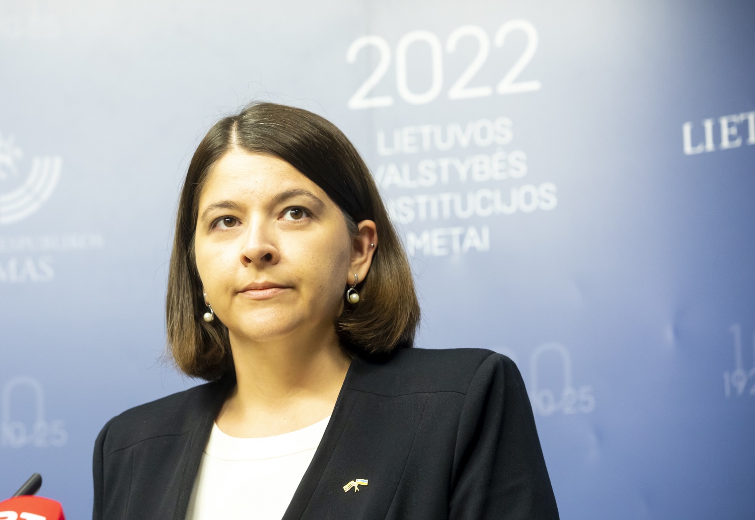 G. Skaistė apie prezidento siūlymą didinti išlaidas gynybai iki 3 proc. nuo BVP: tokie norai yra deklaratyvūs G. Skaistė apie prezidento siūlymą didinti išlaidas gynybai iki 3 proc. nuo BVP: tokie norai yra deklaratyvūs