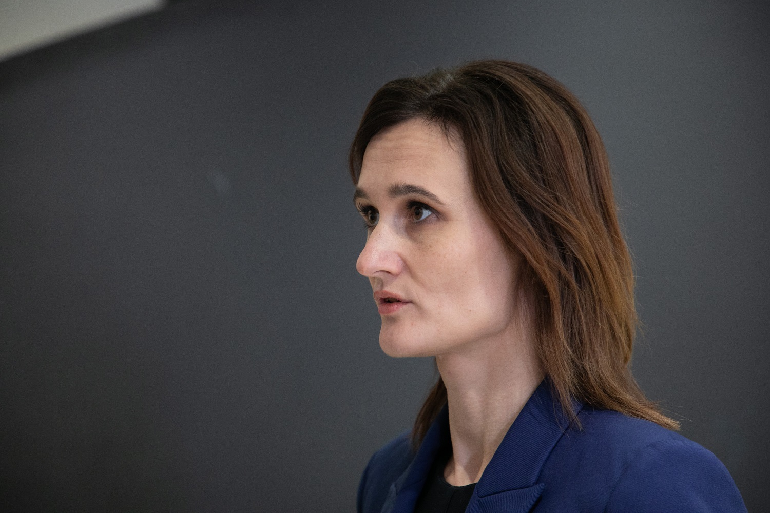 V. Čmilytė-Nielsen apie savaitgalį vykusį mitingą: daryčiau prielaidą, kad Šeimų maršo darbotvarkė išsikvėpė V. Čmilytė-Nielsen apie savaitgalį vykusį mitingą: daryčiau prielaidą, kad Šeimų maršo darbotvarkė išsikvėpė