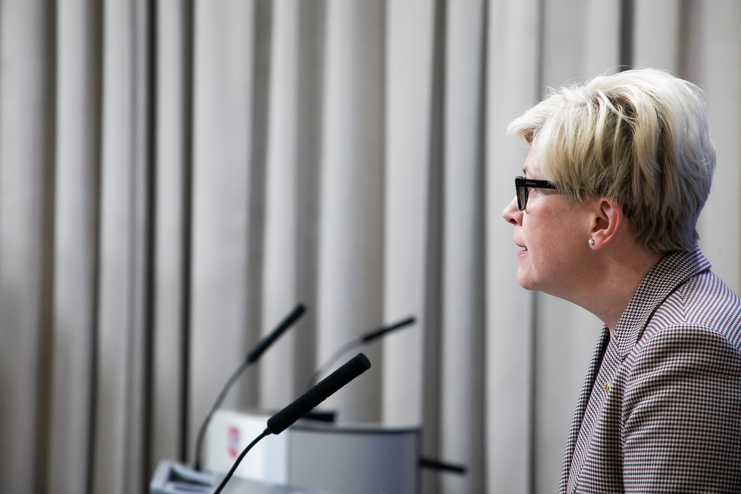 Premjerė palaiko Šaulių sąjungos pertvarką: šiuo metu organizacijai skiriama mažiau dėmesio negu jo turėtų būti Premjerė palaiko Šaulių sąjungos pertvarką: šiuo metu organizacijai skiriama mažiau dėmesio negu jo turėtų būti