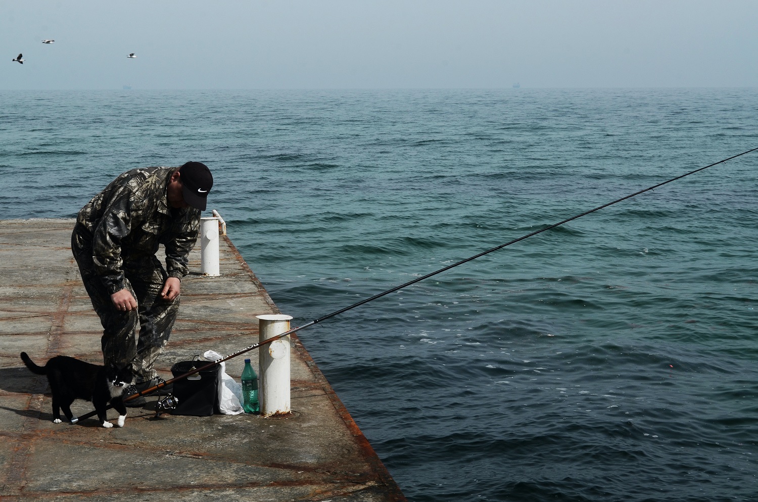 Verslininkai piktinasi žvejybos ribojimais Kuršių mariose, tačiau specialistai įsakymą gina: jis būtinas, norint apsaugoti žuvis 