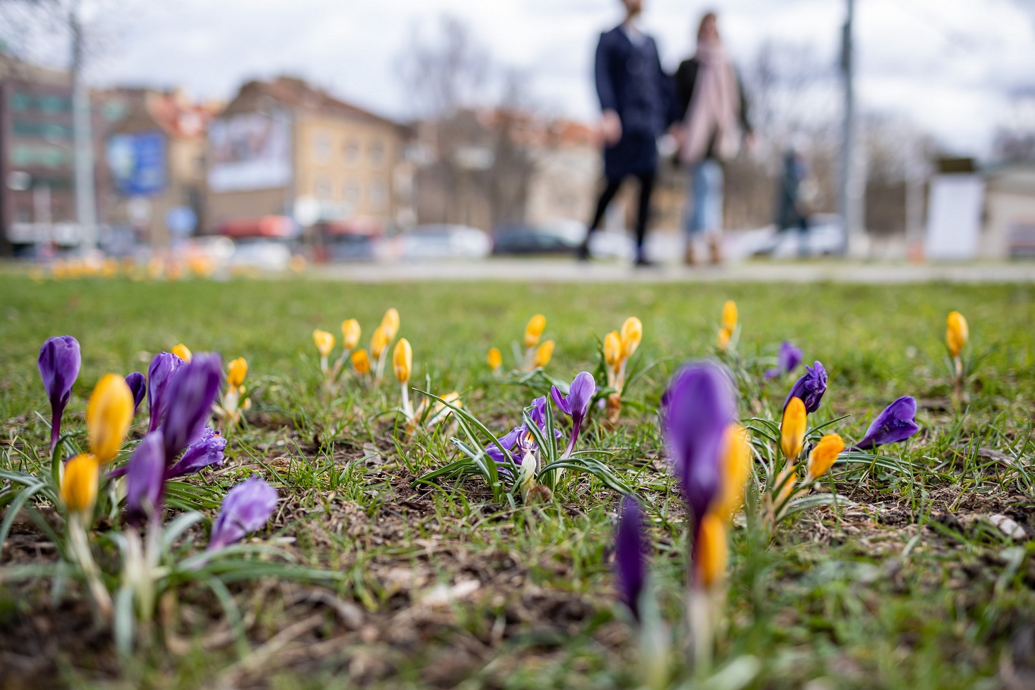 Nuotr. Sauliaus Žiūros/Vilniaus miesto savivaldybė