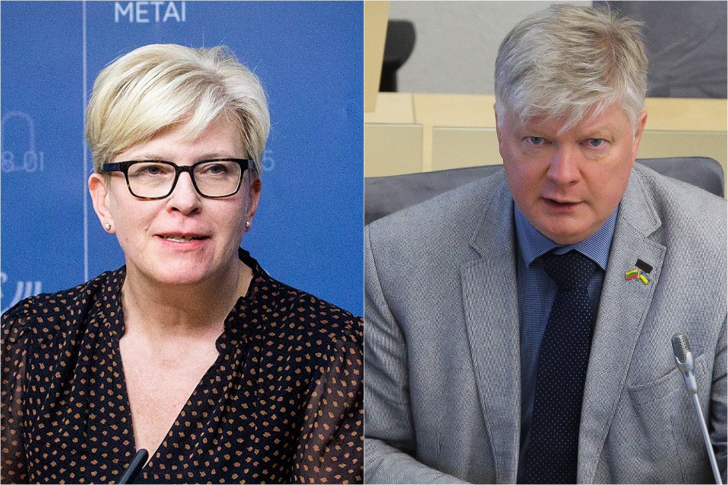 I. Šimonytės iškėlė ultimatumą žemės ūkio ministrui: neįvykdęs jo neteks posto I. Šimonytės iškėlė ultimatumą žemės ūkio ministrui: neįvykdęs jo neteks posto