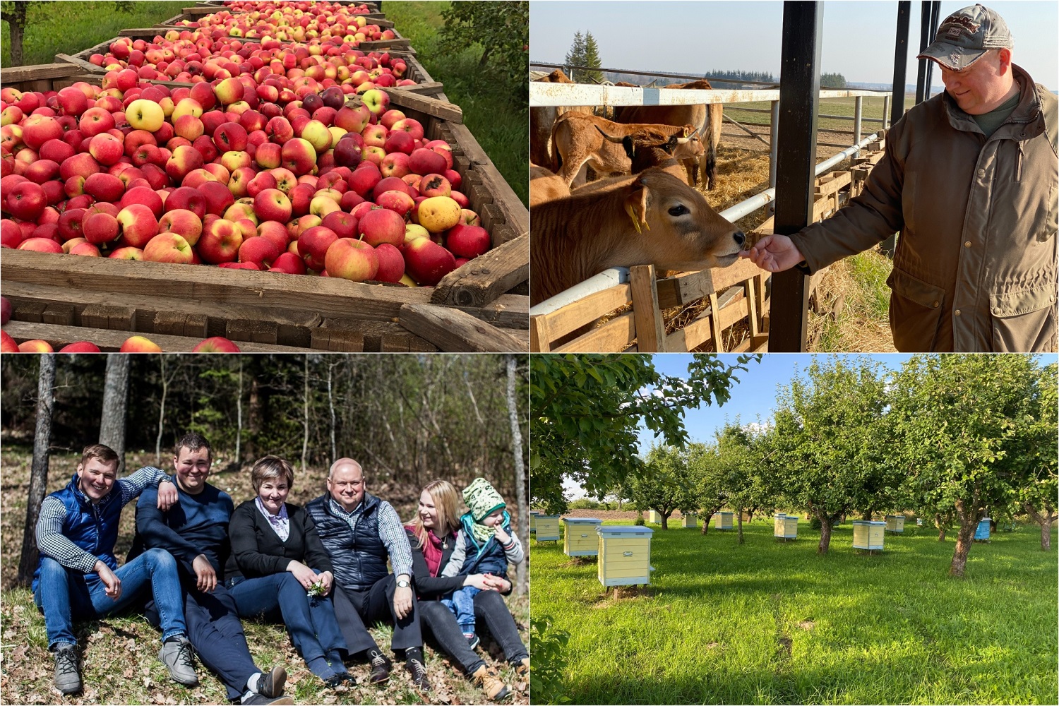 Ekologinių biodinaminių ūkių žingsniai Lietuvoje