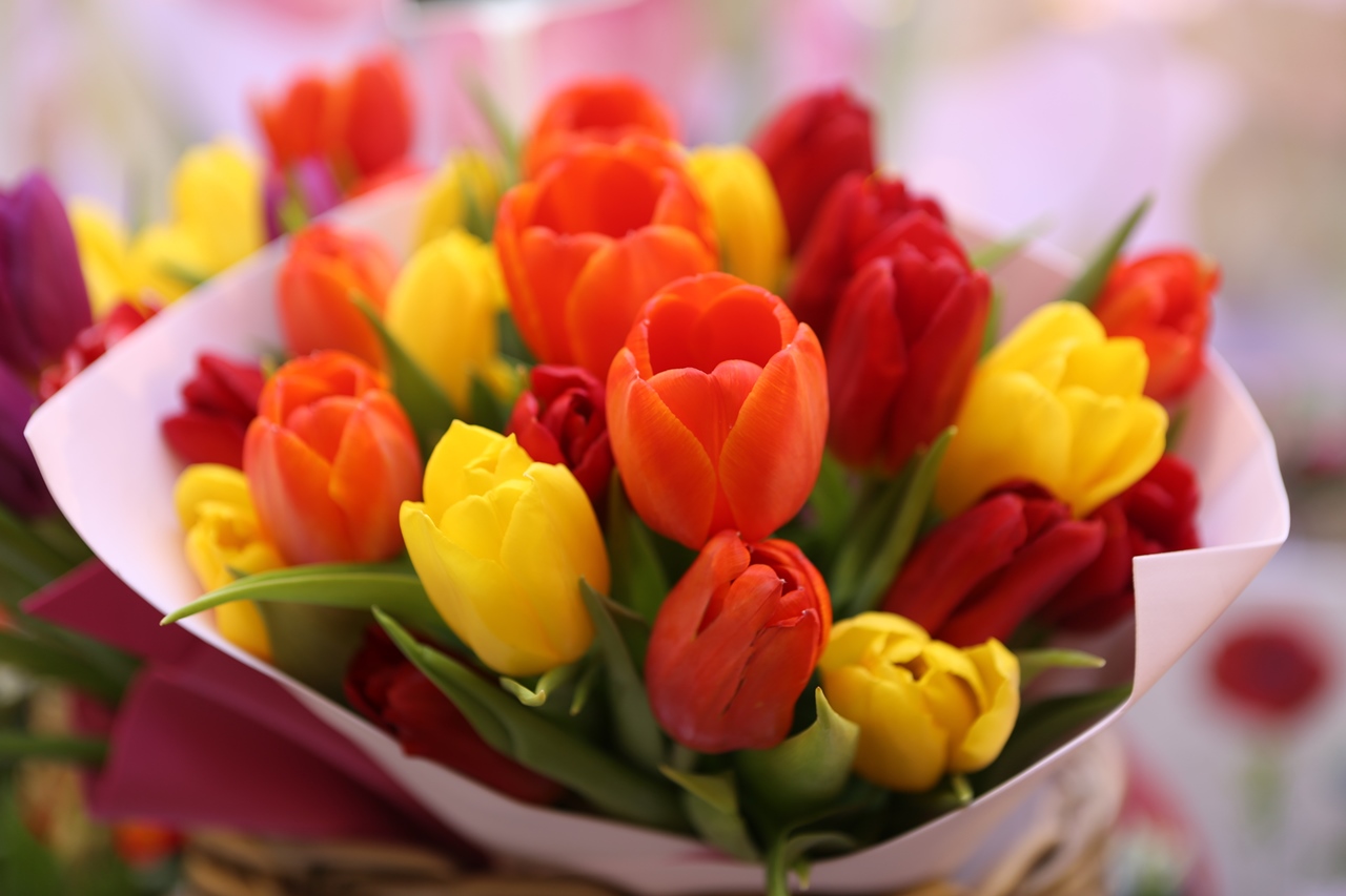Kaip išsirinkti šviežias gėles, kad jos kuo ilgiau džiugintų?