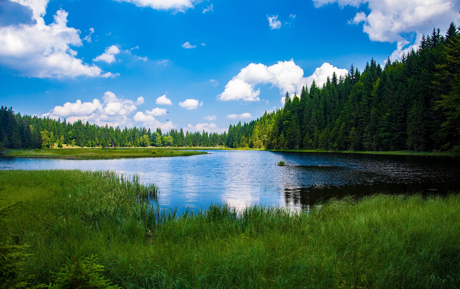 Daugiau nei pusė pasaulio ežerų netenka vandens