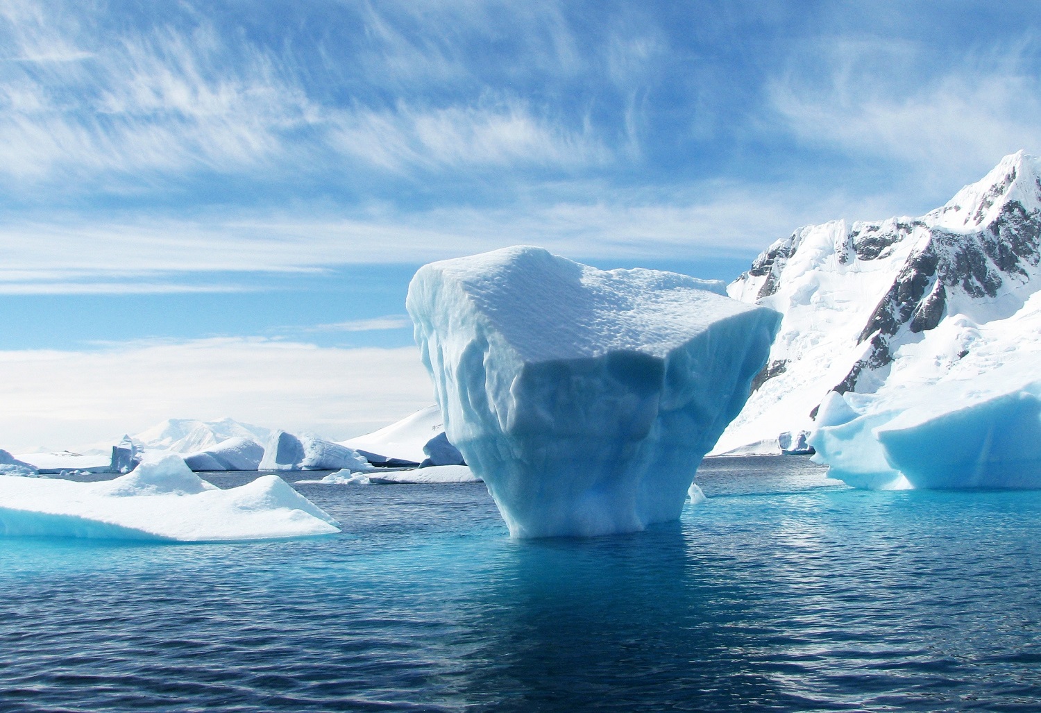Vasaros be ledo Arktyje – netolima ateitis: mokslininkai įspėja apie skaudžius padarinius