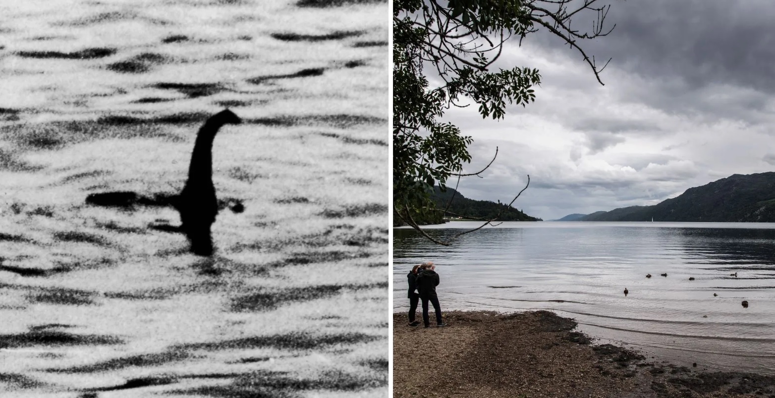 Škotai aiškinasi, ar Lochneso ežero pabaisa tikrai egzistuoja