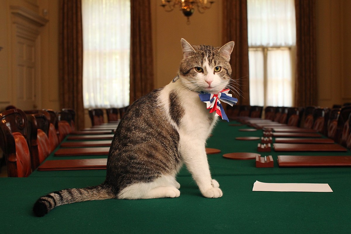 Britų vyriausybei teko neigti gandus, kad pasiligojo „vyriausiasis peliautojas“ katinas Laris